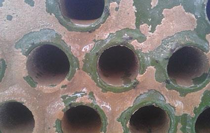 污水調(diào)質(zhì)劑 去味劑 工業(yè)清洗劑