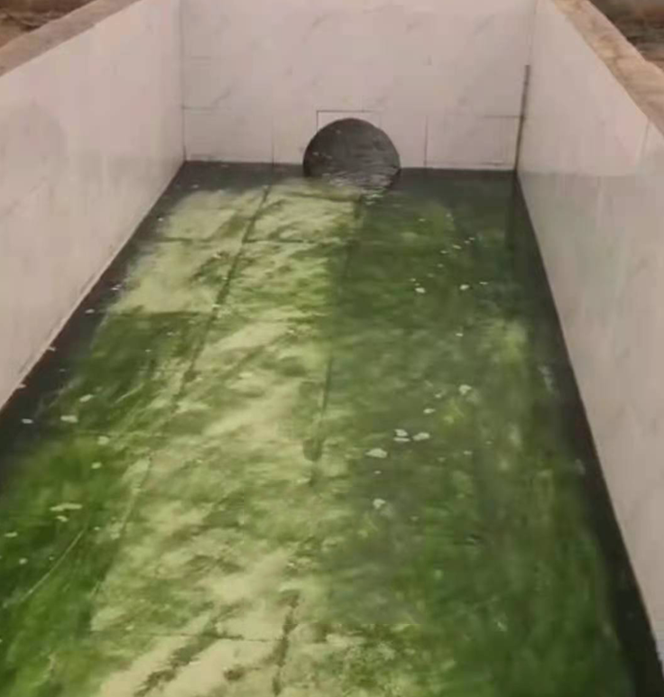 QQ圖片20230221103535 QQ圖片20230221103535