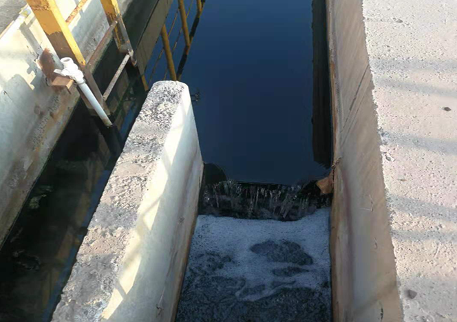 QQ圖片20230221103903 QQ圖片20230221103903