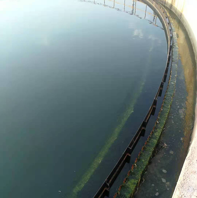 QQ圖片20230221103923 QQ圖片20230221103923